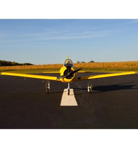 E-flite Carbon-Z T-28 Trojan 2.0m Plug-N-Play Electric Airplane (1980mm) E-flite Carbon-Z T-28 Trojan 2.0m Plug-N-Play Electric Airplane (1980mm)