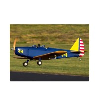 Hangar 9 Fun Scale PT-19 Plug-N-Play Electric Airplane