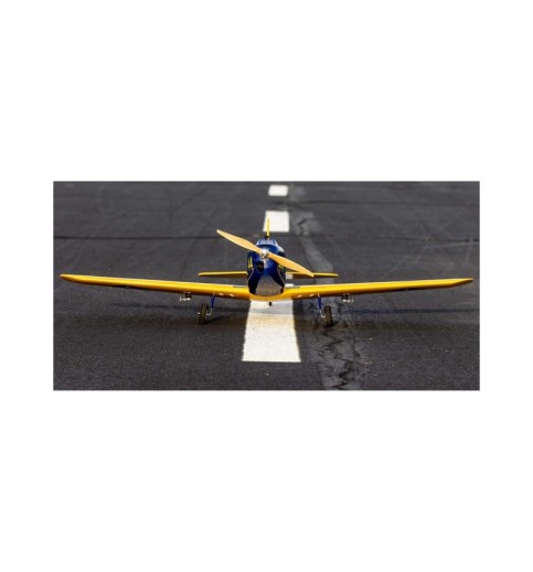 Hangar 9 Fun Scale PT-19 Plug-N-Play Electric Airplane